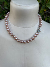 Load image into Gallery viewer, High End Pink Edison Pearls Sterling Lobster Necklace