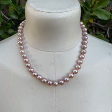 Load image into Gallery viewer, High End Pink Edison Pearls Sterling Lobster Necklace