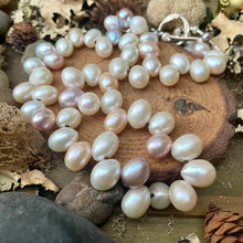 Load image into Gallery viewer, SALE Freshwater Pearl Collar Necklace
