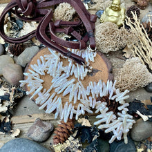 Load image into Gallery viewer, SALE Long or short White Freshwater Stick Pearl Leather Necklace