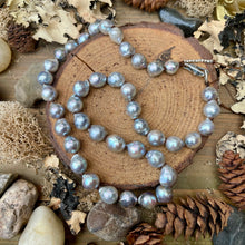 Load image into Gallery viewer, Silver Blue Akoya Pearls Sterling Lobster Necklace